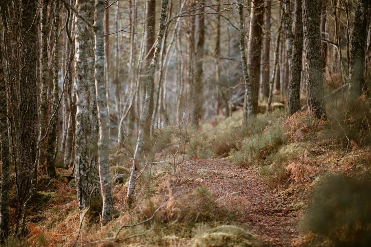 Silverbridge Lodge Garve Bagian luar foto